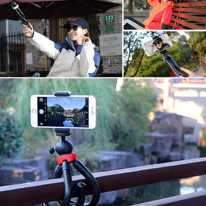 MZ305 Mini Octopus Flexible Tripod Holder with Ball Head for SLR Cameras, GoPro HERO10 Black / HERO9 Black / HERO8 Black /7 /6 /5 /5 Session /4 Session /4 /3+ /3 /2 /1, DJI Osmo Action, Xiaoyi and Other Action Cameras, Cellphone, Size:30cmx5cm - Portable Mini Tripod by PMC Jewellery | Online Shopping South Africa | PMC Jewellery | Buy Now Pay Later Mobicred