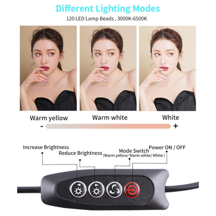 JSK-B1 USB Portable Ten-level Brightness Adjustable Live Conference Desktop LED Fill Light, Color Temperature: 3000-6500K - Selfie Light by PMC Jewellery | Online Shopping South Africa | PMC Jewellery | Buy Now Pay Later Mobicred