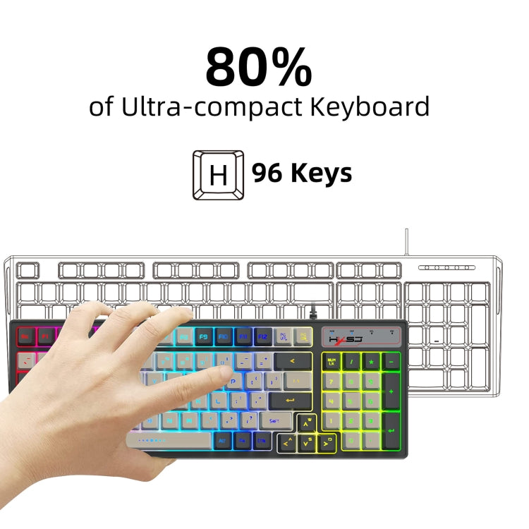 HXSJ V600 96-key RGB Backlit Dual-color Injection-molded Wired Gaming Keyboard - Wired Keyboard by HXSJ | Online Shopping South Africa | PMC Jewellery | Buy Now Pay Later Mobicred