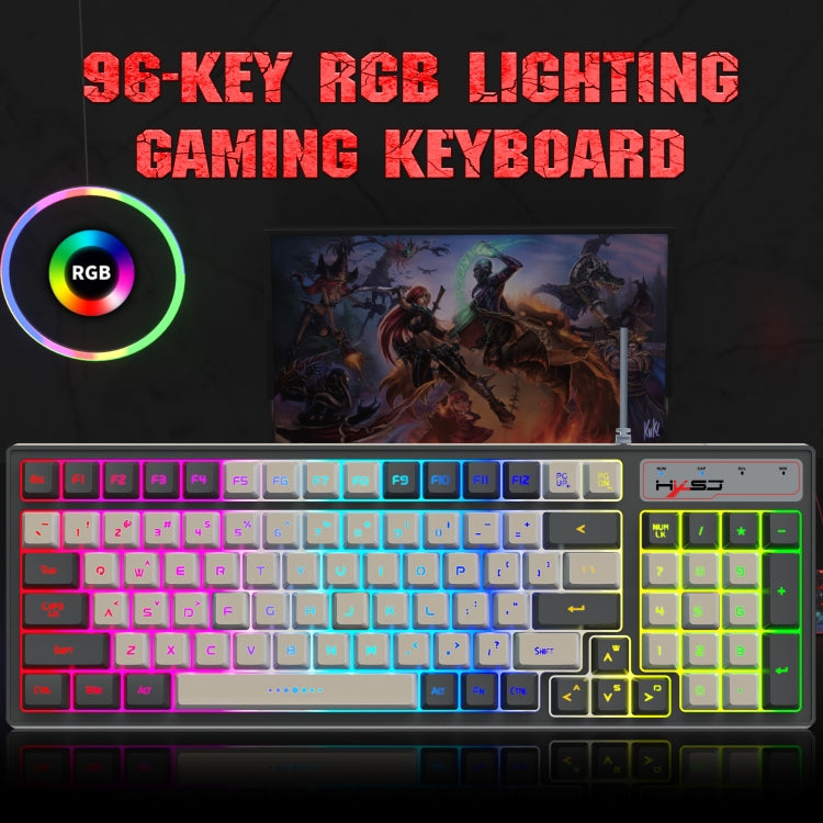 HXSJ V600 96-key RGB Backlit Dual-color Injection-molded Wired Gaming Keyboard - Wired Keyboard by HXSJ | Online Shopping South Africa | PMC Jewellery | Buy Now Pay Later Mobicred