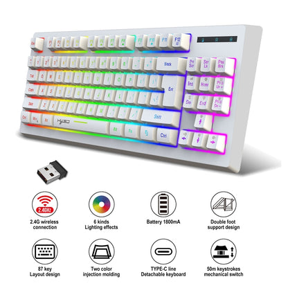 HXSJ L100 87 Keys RGB Backlit Film 2.4G Wireless Keyboard(White) - Wireless Keyboard by HXSJ | Online Shopping South Africa | PMC Jewellery | Buy Now Pay Later Mobicred