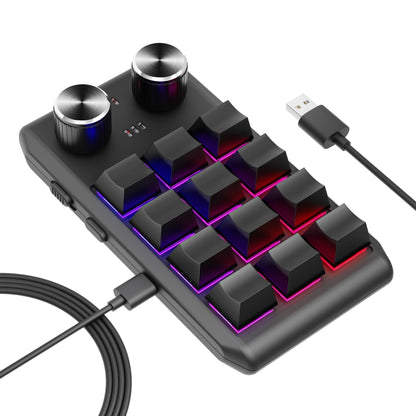 USB Wired 12KV2 MOLD Mini Mechanical 12 Keys 2 Knob Custom Programming Keyboard(Black) - Mini Keyboard by PMC Jewellery | Online Shopping South Africa | PMC Jewellery