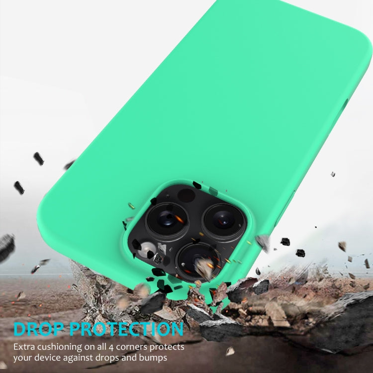 For iPhone 16 Pro Max Solid Color Silicone Phone Case(Green) - More iPhone Cases by PMC Jewellery | Online Shopping South Africa | PMC Jewellery | Buy Now Pay Later Mobicred