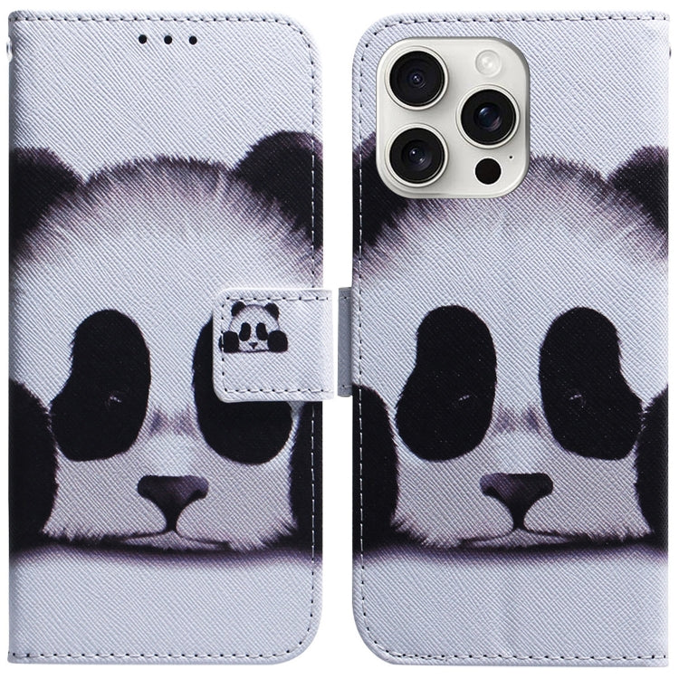 For iPhone 16 Pro Max Coloured Drawing Flip Leather Phone Case(Panda) - iPhone 16 Pro Max Cases by PMC Jewellery | Online Shopping South Africa | PMC Jewellery | Buy Now Pay Later Mobicred