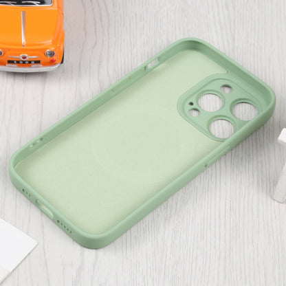 For iPhone 16 Pro Max Liquid Silicone Magsafe Phone Case(Green) - iPhone 16 Pro Max Cases by PMC Jewellery | Online Shopping South Africa | PMC Jewellery | Buy Now Pay Later Mobicred