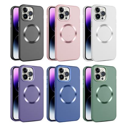 For iPhone 15 CD Texture MagSafe Frosted Translucent Phone Case(White) - iPhone 15 Cases by PMC Jewellery | Online Shopping South Africa | PMC Jewellery