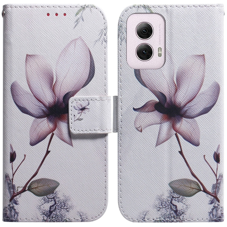 For Motorola Moto G Power 5G 2024 Coloured Drawing Flip Leather Phone Case(Magnolia) - Motorola Cases by PMC Jewellery | Online Shopping South Africa | PMC Jewellery | Buy Now Pay Later Mobicred