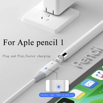 For Apple Pencil 1 USB to 8 Pin Stylus Charging Cable with Indicator Light, Length:0.5m(White) - Pencil Accessories by PMC Jewellery | Online Shopping South Africa | PMC Jewellery | Buy Now Pay Later Mobicred