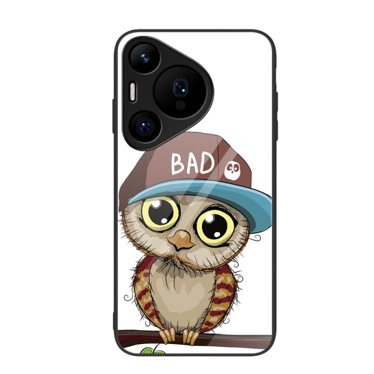 For Huawei Pura 70 Pro Colorful Painted Glass Phone Case(Owl) - Huawei Cases by PMC Jewellery | Online Shopping South Africa | PMC Jewellery | Buy Now Pay Later Mobicred