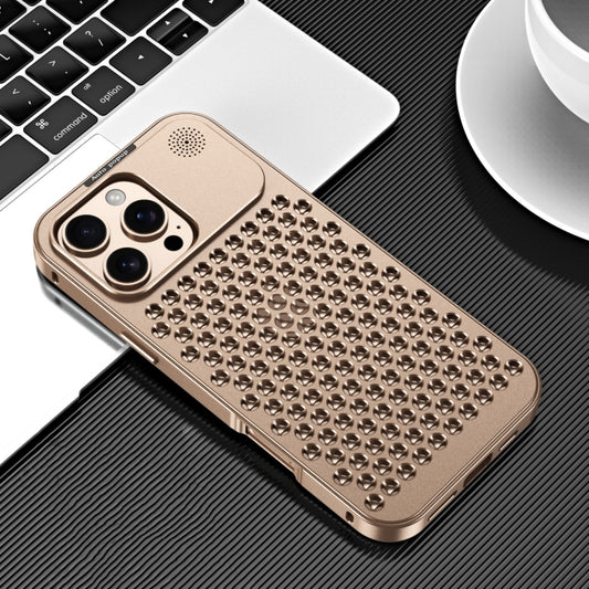 For iPhone 16 Pro R-JUST RJ58 Aromatherapy Metal Cooling Phone Case(Gold) - iPhone 16 Pro Cases by R-JUST | Online Shopping South Africa | PMC Jewellery | Buy Now Pay Later Mobicred