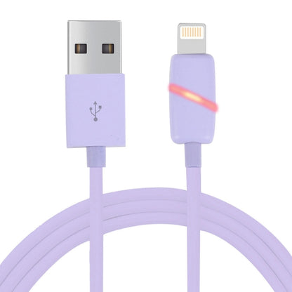 1m Circular Bobbin Gift Box Style 8 Pin to USB Data Sync Cable with Indicator for iPhone, iPad(Purple) - Normal Style Cable by PMC Jewellery | Online Shopping South Africa | PMC Jewellery | Buy Now Pay Later Mobicred