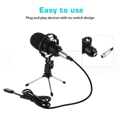 BM-700 USB Professional Condenser Microphone - Microphone by PMC Jewellery | Online Shopping South Africa | PMC Jewellery | Buy Now Pay Later Mobicred