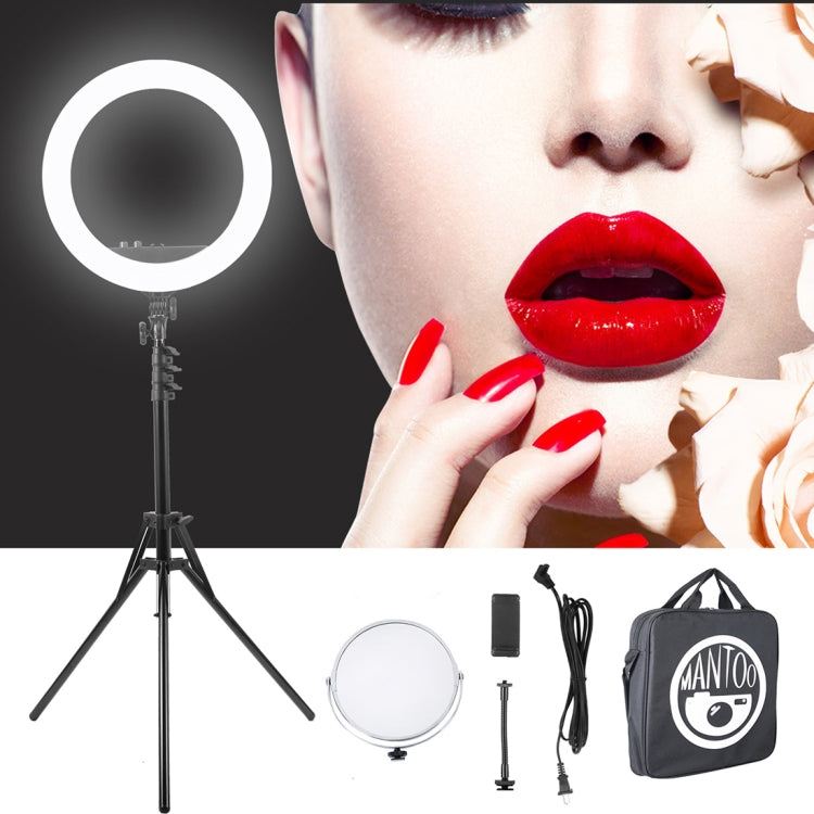 MANTOO RL-12 II 100-240V 28W 12 inch Two-color Dimmable Ring Fill Light with Tripod - Ring Light by MANTOO | Online Shopping South Africa | PMC Jewellery | Buy Now Pay Later Mobicred