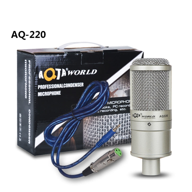 AQ-220 K Song Live Recording Noise Reduction Capacitor Microphone - Microphone by PMC Jewellery | Online Shopping South Africa | PMC Jewellery | Buy Now Pay Later Mobicred