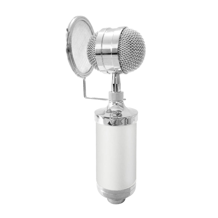 3000 Home KTV Mic Condenser Sound Recording Microphone with Shock Mount & Pop Filter for PC & Laptop, 3.5mm Earphone Port, Cable Length: 2.5m(White) - Microphone by PMC Jewellery | Online Shopping South Africa | PMC Jewellery | Buy Now Pay Later Mobicred