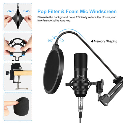 PULUZ Sound Card Live Broadcast Bluetooth Sound Mixer Studio Microphone Kits with Suspension Scissor Arm & Metal Shock Mount, Chinese Version(Black) - Live Sound Effects Processors by PULUZ | Online Shopping South Africa | PMC Jewellery | Buy Now Pay Later Mobicred