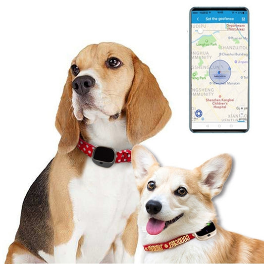 RF-V43 B Style IP67 Waterproof GPS + LBS + WiFi Pet Locator Pet Collar Tracking Device For North America/South America(Black) - Pet Tracker by PMC Jewellery | Online Shopping South Africa | PMC Jewellery | Buy Now Pay Later Mobicred