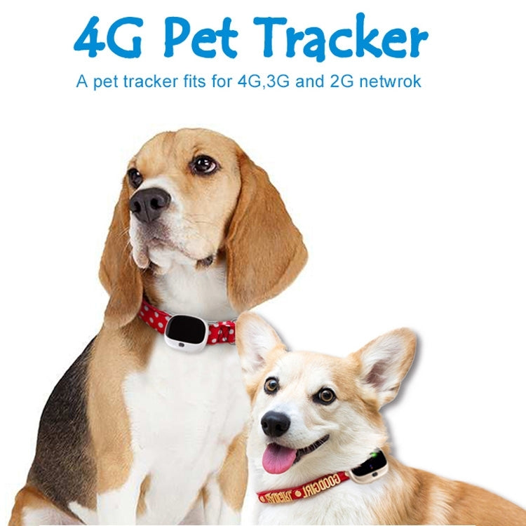 RF-V43 B Style IP67 Waterproof GPS + LBS + WiFi Pet Locator Pet Collar Tracking Device For North America/South America(Black) - Pet Tracker by PMC Jewellery | Online Shopping South Africa | PMC Jewellery | Buy Now Pay Later Mobicred