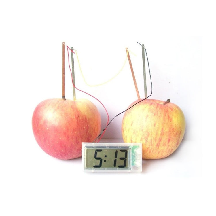 DIY Novel Green Science Potato Digital Clock Educational Kit with 2 inch LCD Screen (Potato NOT Included)(White) - Alarm Clocks by PMC Jewellery | Online Shopping South Africa | PMC Jewellery | Buy Now Pay Later Mobicred