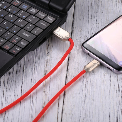 1m 2A USB-C / Type-C to USB 2.0 Data Sync Quick Charger Cable(Red) - USB-C & Type-C Cable by PMC Jewellery | Online Shopping South Africa | PMC Jewellery | Buy Now Pay Later Mobicred