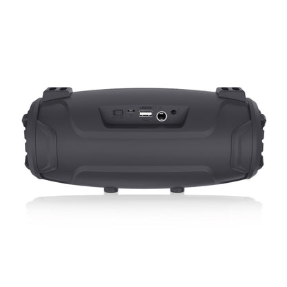 NewRixing NR3026M TWS Outdoor Portable K-song Bluetooth Speaker with Shoulder Strap & Microphone, Support TF Card / FM(Black) - Desktop Speaker by NewRixing | Online Shopping South Africa | PMC Jewellery | Buy Now Pay Later Mobicred