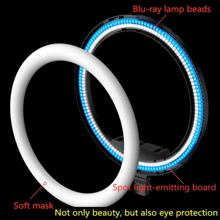 14 inch+Phone Clip Dimmable Color Temperature LED Ring Fill Light Live Broadcast Set With 2.1m Tripod Mount, CN Plug - Ring Light by PMC Jewellery | Online Shopping South Africa | PMC Jewellery | Buy Now Pay Later Mobicred