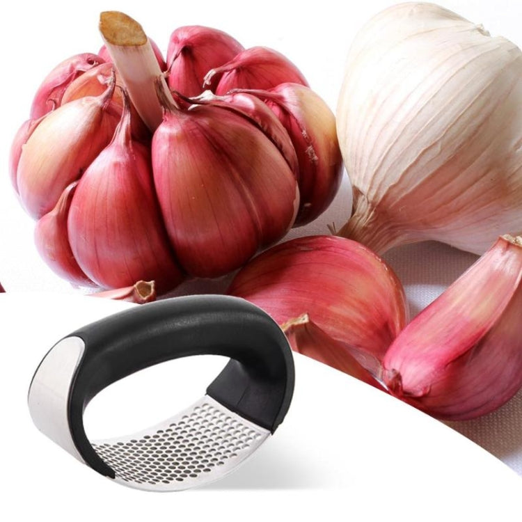 Stainless Steel Garlic Presser Manual Garlic Mincer Chopping Garlic Tools - Stirrer & Squeezer by PMC Jewellery | Online Shopping South Africa | PMC Jewellery | Buy Now Pay Later Mobicred