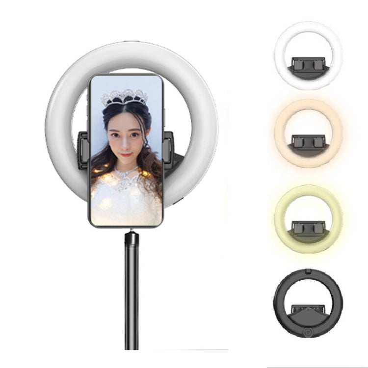 CYKE Q6 Selfie Live Broadcast Ring Beautifying Light(Fill Light) - Ring Light by CYKE | Online Shopping South Africa | PMC Jewellery | Buy Now Pay Later Mobicred