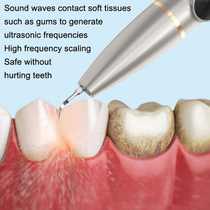 Tartar and Calculus Remover Oral Cleaning Ultrasonic Scaler Electric Visual Scaler(Champagne) - Oral Irrigators by PMC Jewellery | Online Shopping South Africa | PMC Jewellery