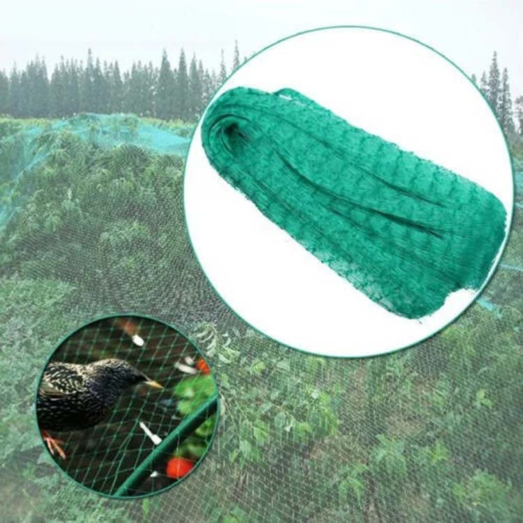 2Mx10M  Anti Bird Protection Net Mesh Garden Plant Netting Protect Plants and Fruit - Garden Netting by PMC Jewellery | Online Shopping South Africa | PMC Jewellery