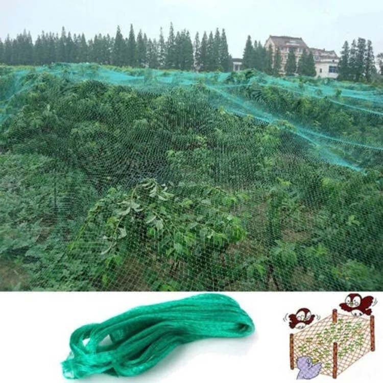 4Mx15M  Anti Bird Protection Net Mesh Garden Plant Netting Protect Plants and Fruit - Garden Netting by PMC Jewellery | Online Shopping South Africa | PMC Jewellery