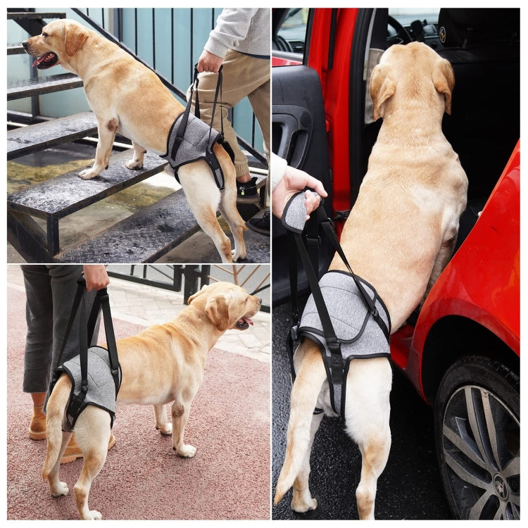 Dog Hind Leg Auxiliary Strap Decompression Auxiliary Travel Belt For Elderly and Injured Dog, Size: L - Protector Walking Aids by PMC Jewellery | Online Shopping South Africa | PMC Jewellery