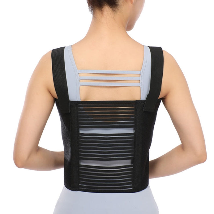 L Shoulders Three Piece Rib Fixation Strap Post-cardiothoracic Chest Girdle(Black) - Corrector by PMC Jewellery | Online Shopping South Africa | PMC Jewellery