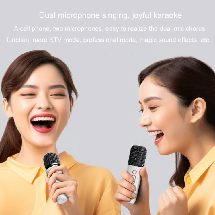 Y5 1 Microphone Portable Bluetooth Speaker Home And Outdoor Wireless Karaoke Audio(White) - Microphone by PMC Jewellery | Online Shopping South Africa | PMC Jewellery | Buy Now Pay Later Mobicred