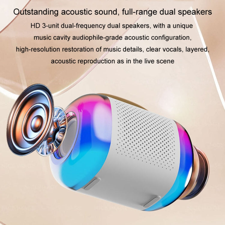 Y5 2 Microphone Portable Bluetooth Speaker Home And Outdoor Wireless Karaoke Audio(Black) - Microphone by PMC Jewellery | Online Shopping South Africa | PMC Jewellery | Buy Now Pay Later Mobicred