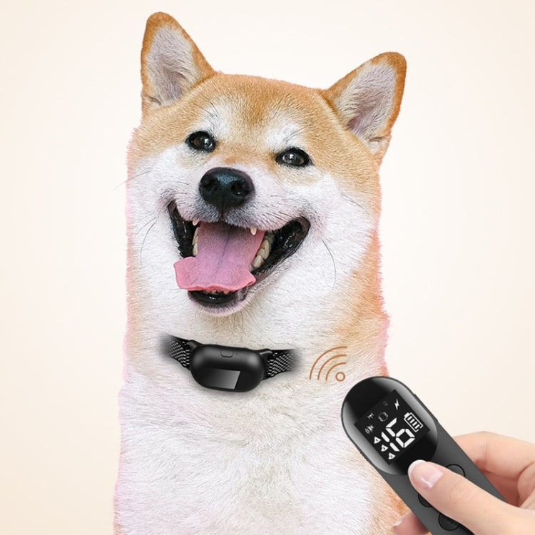 Pet Dog Training Anti-barking Collar Smart Remote Control(Random Color Delivery) - Training Aids by PMC Jewellery | Online Shopping South Africa | PMC Jewellery