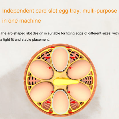 6-Eggs Small Household Experimental Children Smart Chicken Incubators, Spec: Automatic AU Plug - Incubators by PMC Jewellery | Online Shopping South Africa | PMC Jewellery