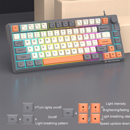 XUNSVFOX K81 Laptop Gaming Office Wired Illuminated Keyboard(Shimmer) - Wired Keyboard by XUNSVFOX | Online Shopping South Africa | PMC Jewellery | Buy Now Pay Later Mobicred