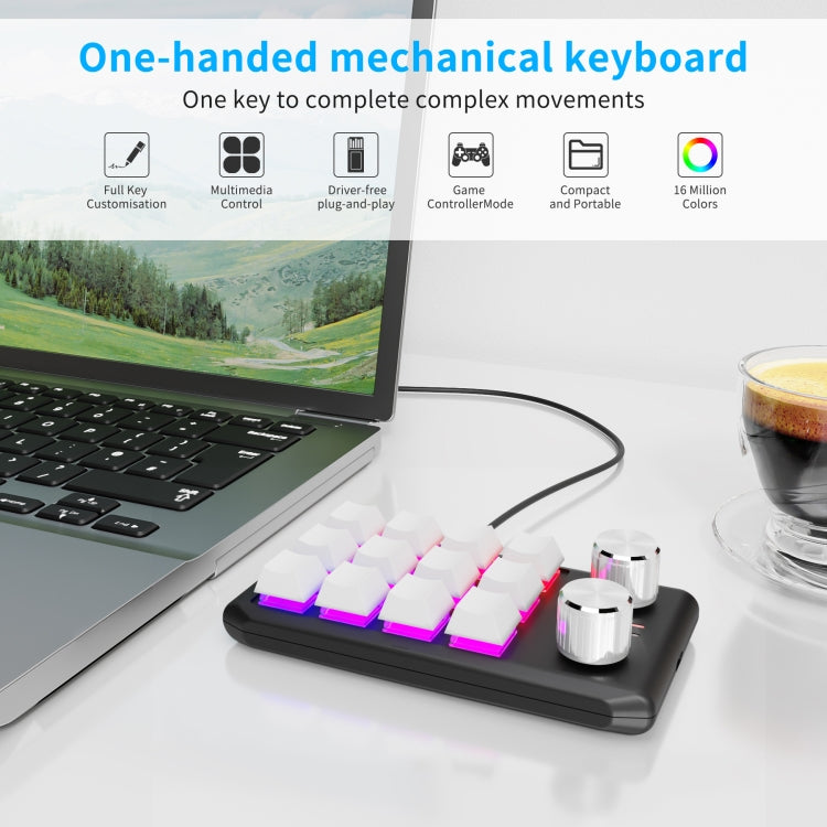 12 Keys Wired With RGB Lights Customized Office Keyboard Shortcut Keys Computer Audio Volume Control(Black) - Mini Keyboard by PMC Jewellery | Online Shopping South Africa | PMC Jewellery | Buy Now Pay Later Mobicred