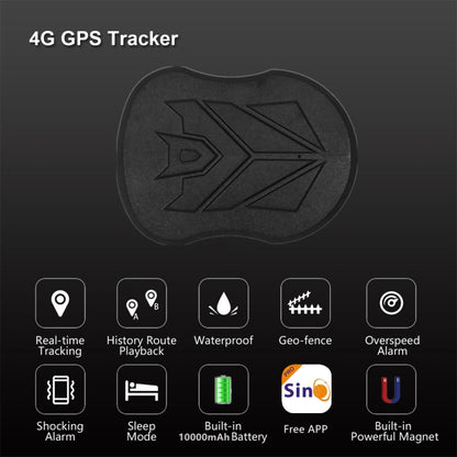 SinoTrack 4G Wireless Car GPS Anti-Theft Locator(ST-915L) - Car Tracker by SinoTrack | Online Shopping South Africa | PMC Jewellery | Buy Now Pay Later Mobicred