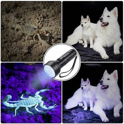 51 LEDs 395nm UV LED Flashlight, Support Detect Pet Urine - LED Flashlight by YWX LIGHT | Online Shopping South Africa | PMC Jewellery