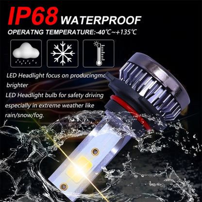 2 PCS H3 DC9-36V / 36W / 3000K / 6000LM IP68 Car / Motorcycle Mini COB LED Headlight Lamps / Fog Light(Gold Light) - LED Headlamps by PMC Jewellery | Online Shopping South Africa | PMC Jewellery