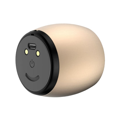 SARDiNE F1 Aluminium Alloy Stereo Wireless Bluetooth Speaker with Charging Dock, Support Hands-free(Gold) - Mini Speaker by SARDiNE | Online Shopping South Africa | PMC Jewellery