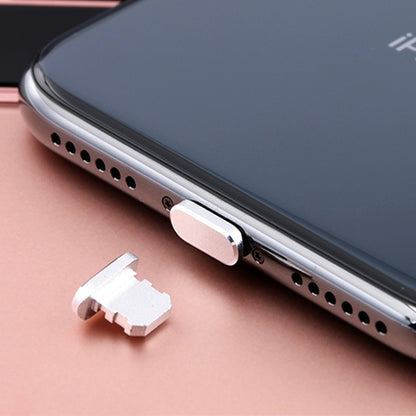 2pcs Universal 8 Pin Charging Port Metal Anti-Dust Plug for iPhone(Space Silver) - Anti-dust & Ear Caps by PMC Jewellery | Online Shopping South Africa | PMC Jewellery