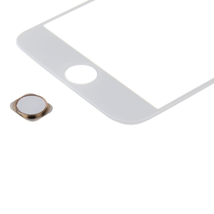 Home Button for iPhone 6s Plus(Gold) - iPhone 6S/6S Plus Parts by PMC Jewellery | Online Shopping South Africa | PMC Jewellery