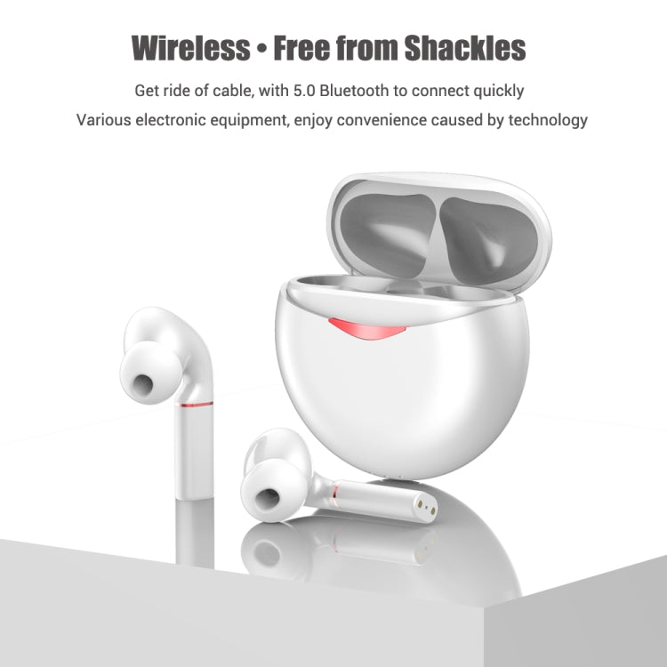 T&G T50 Sport TWS Bluetooth Earphone HIFI Noise Canceling Handfree Earbuds with Microphone(White) - Bluetooth Earphone by T&G | Online Shopping South Africa | PMC Jewellery