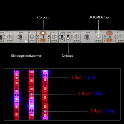 5m 300 LEDs SMD 5050 Full Spectrum LED Strip Light Fitolampy Grow Lights for Greenhouse Hydroponic Plant Waterproof(5 Red 1 Blue) - LED Grow Lights by PMC Jewellery | Online Shopping South Africa | PMC Jewellery