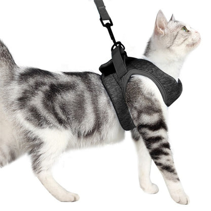 Cat Leash Pet Chest Harness Leash, Size: L(Grey) - Leashes by PMC Jewellery | Online Shopping South Africa | PMC Jewellery