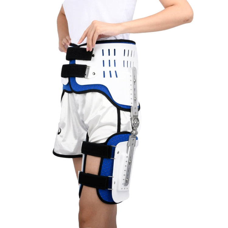 Hip Joint Paraplegia Fixation Brace Femoral Fracture Brace Left, Specification: One Size - Corrector by PMC Jewellery | Online Shopping South Africa | PMC Jewellery