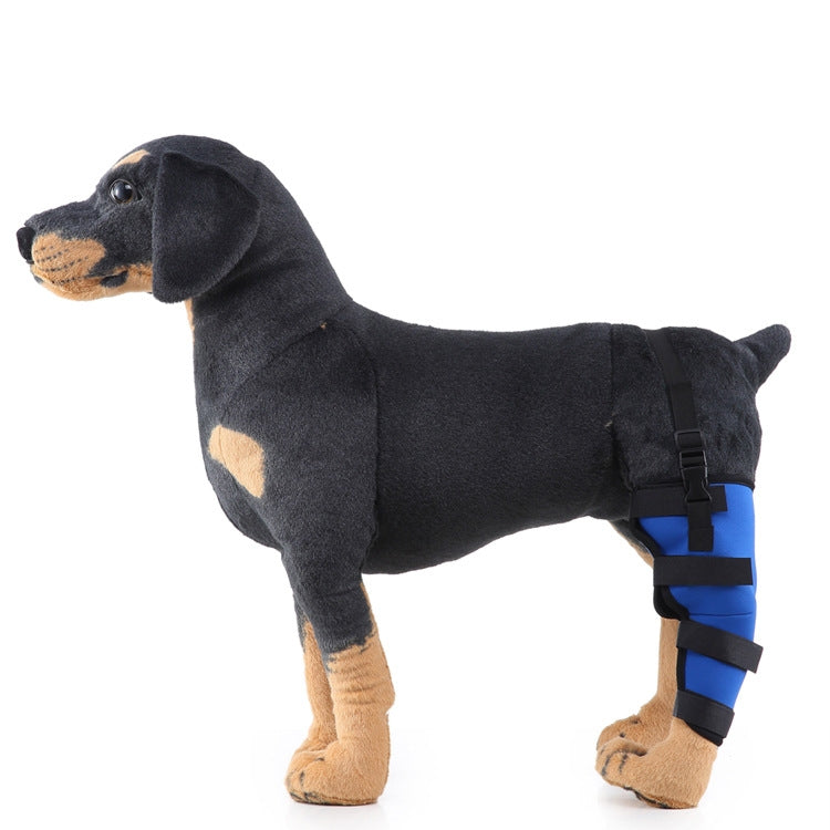 HJ19 Pet Surgery Rehabilitation Back Leg Protector Walking Aids, Size: M(Blue Left Back Leg) - Pet Care by PMC Jewellery | Online Shopping South Africa | PMC Jewellery